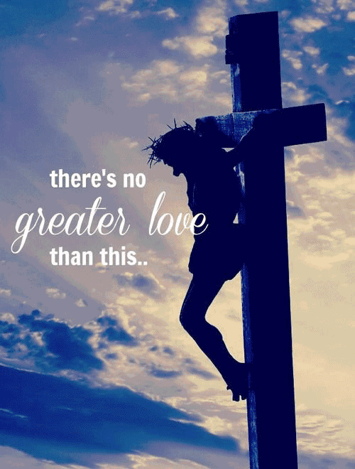 500_660竖版 竖屏gif 动态图 动图